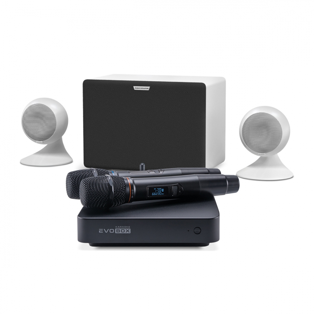 караоке-комплект EVOBOX Classic + EvoSound Sphere 2.1 в Твери