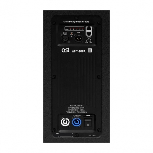 Активная акустическая система AST-308A в Твери