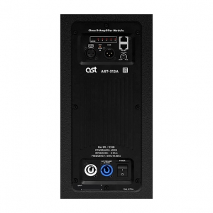 Активная акустическая система AST-312A в Твери