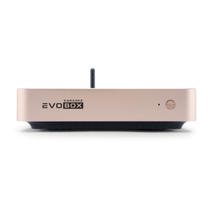 EVOBOX Classic караоке-система для дома в Твери