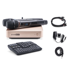 EVOBOX Classic караоке-система для дома в Твери